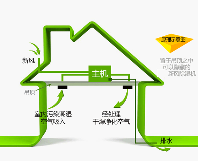 防霾中央新風除濕機