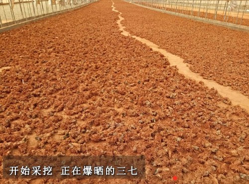 烘干除濕機