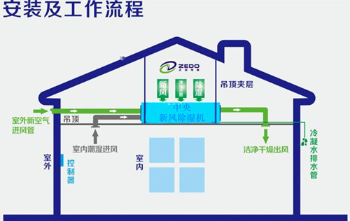 戶(hù)式新風(fēng)除濕機(jī)