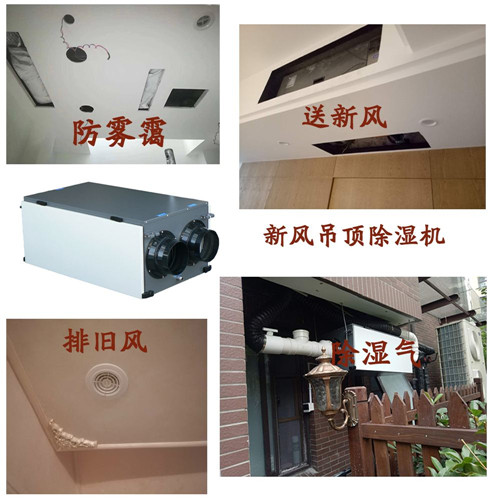 雙流新風(fēng)除濕機(jī)