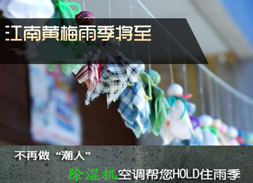 一鍵去濕用除濕機