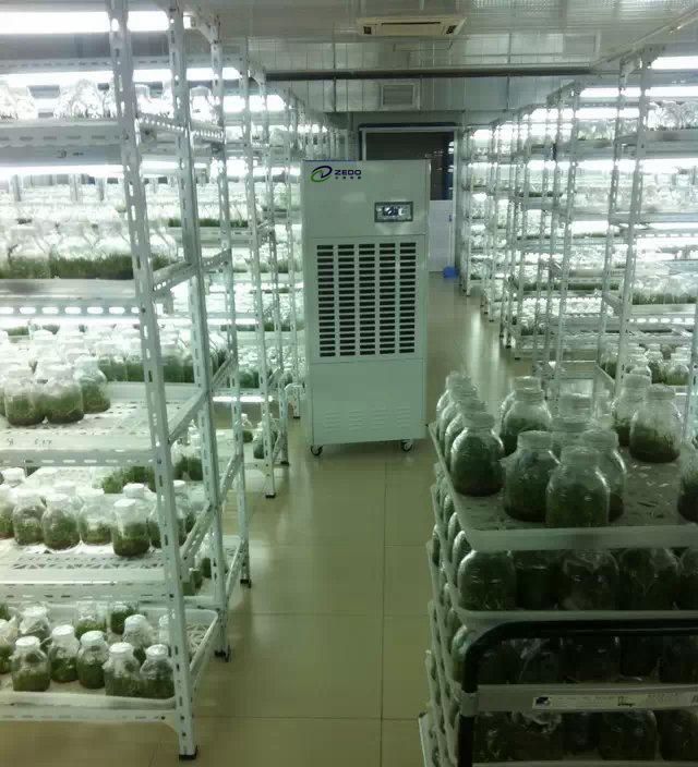 組培培養室除濕機